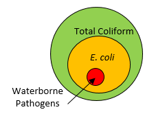Total Coliforms